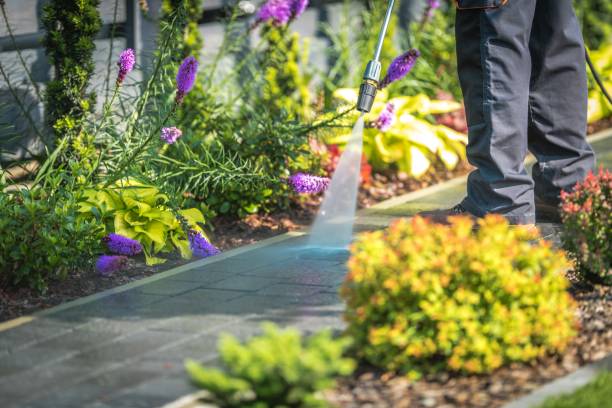 Best Parking Lot and Garage Cleaning  in Kernersville, NC